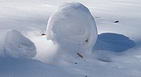 A snow roller in Cincinnati, Ohio, United States