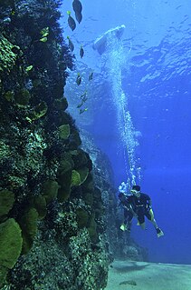 Snuba Limited depth airline breathing apparatus towed by the diver