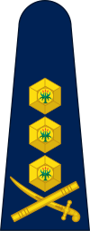 SouthAfrica-Police-OF-8.svg