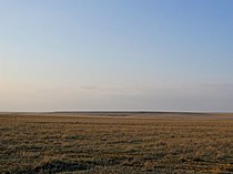 Thảo nguyên miền tây Kazakhstan vào đầu mùa xuân.jpg
