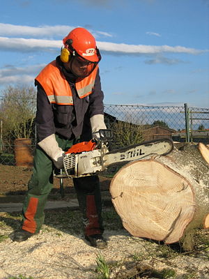 Stihl kettensaege.jpg