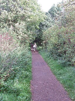 Sudbury Valley Walk - geograph.org.uk - 233705