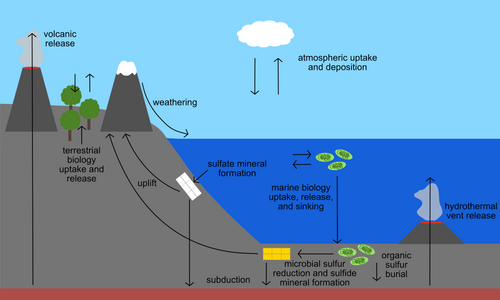 An illustration of some common processes in the biogeochemical sulfur cycle. Sulfur cycle illustration.png