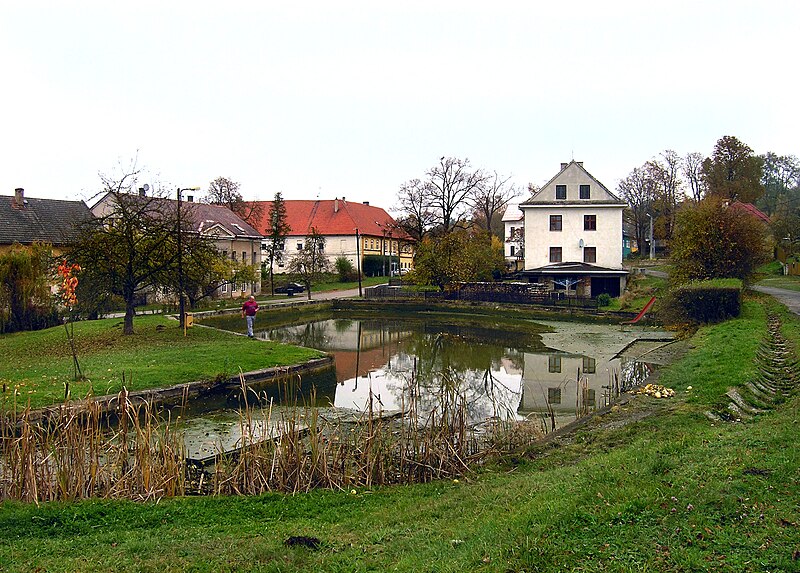 File:Tachov (Česká Lípa District), common pond.jpg