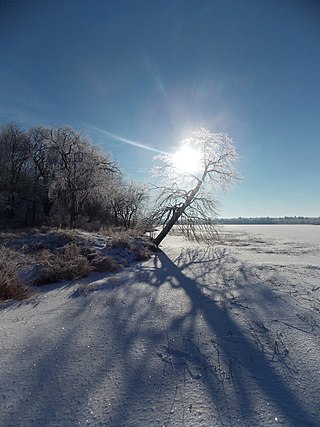 <span class="mw-page-title-main">Tamarac National Wildlife Refuge</span> National wildlife refuge in Minnesota, United States