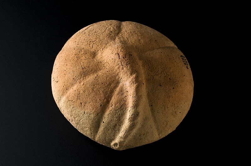 File:Terracotta votive offering in the shape of placenta, Roman, Wellcome L0058478.jpg