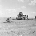 Knocked out Honey near Tobruk, December 1941