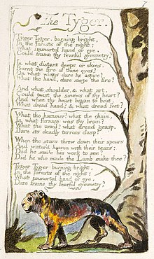 Blake's original printing of The Tyger, 1794 The Tyger BM a 1794.jpg