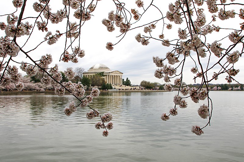 File:Thomas Jefferson Memorial administered by National Mall & Memorial Parks in DC. (7f0bf8ed-63d2-49b9-b223-5859aef20d3b).jpg