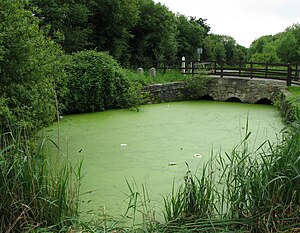 Titchfield Canallock.jpg