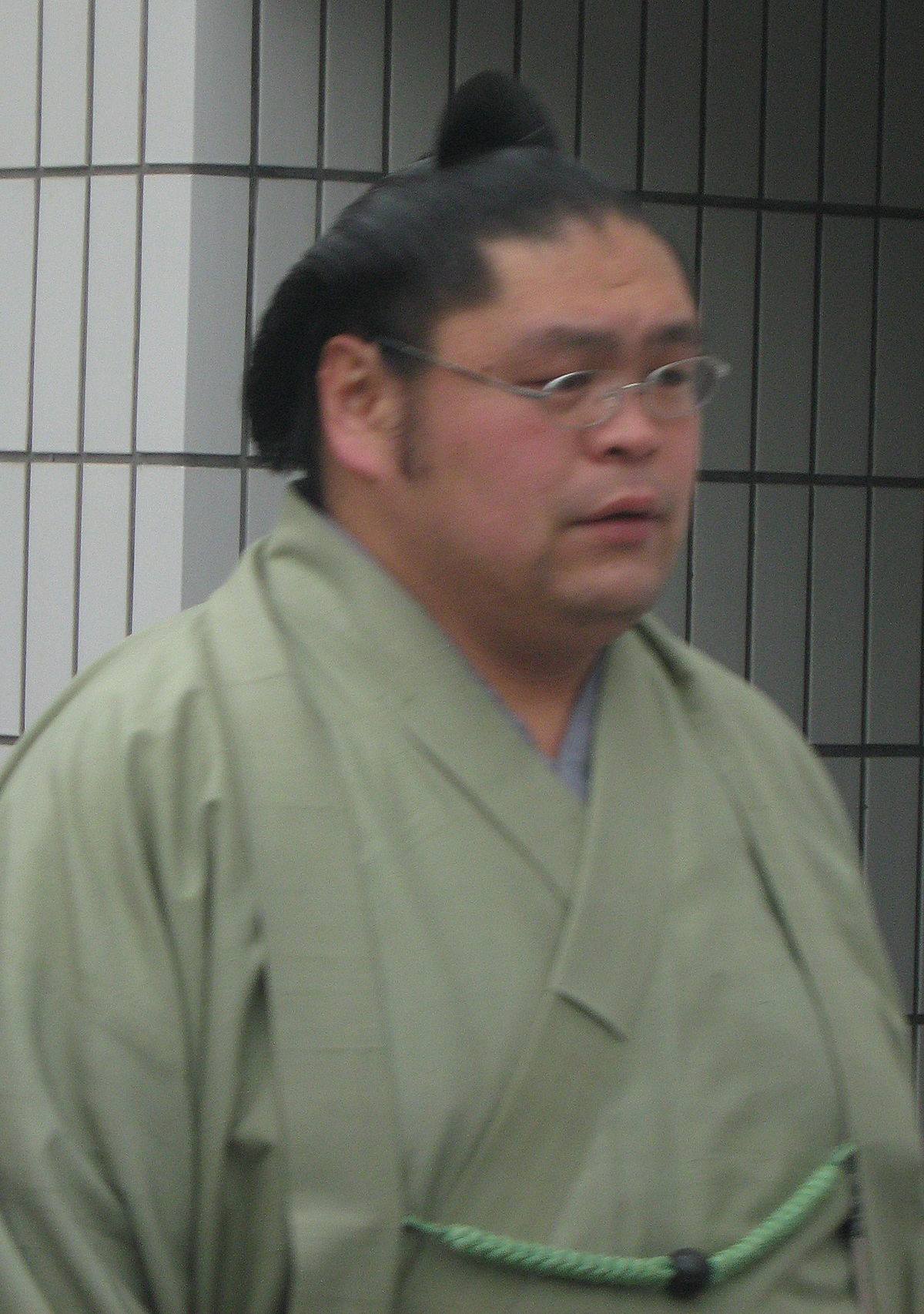 栃乃洋泰一 Wikipedia