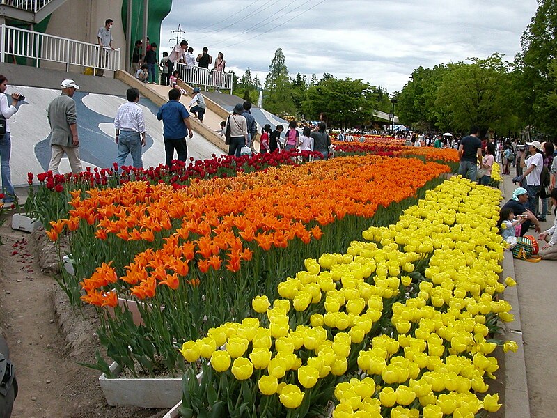 File:Tonami Tulip Park Flowers.jpg