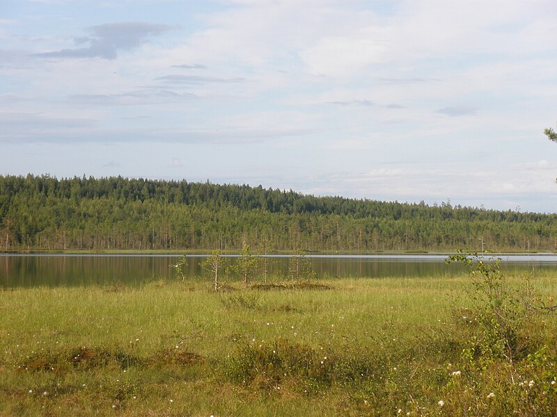 File:Toramojärvi.JPG