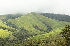 Only available image, showing the Summit of Netravati Peak