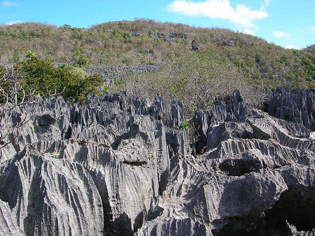 Ankarana Plateau, showing tsingy