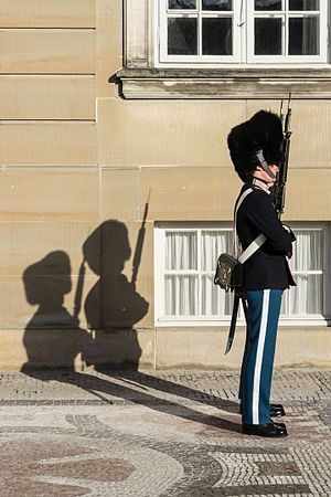 Kongelige Livgarde Amalienborg Copenhagen