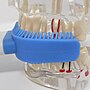 Thumbnail for File:UFunbrush Mouthpiece Toothbrush - 49383964842.jpg