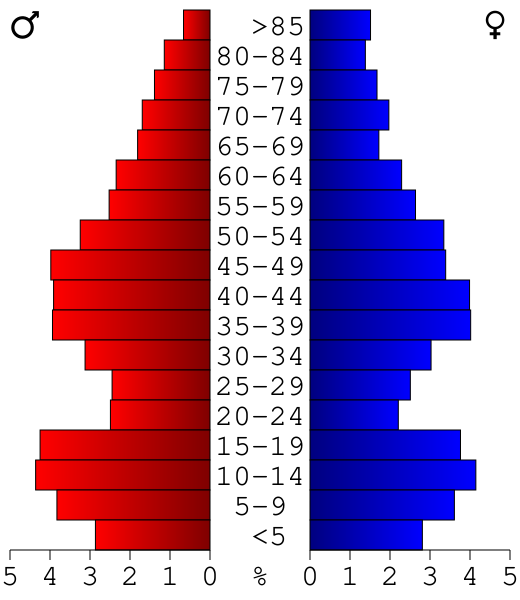 File:USA Wabasha County, Minnesota age pyramid.svg