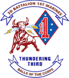 USMC - 3RD BN -1ST MAR 3.png