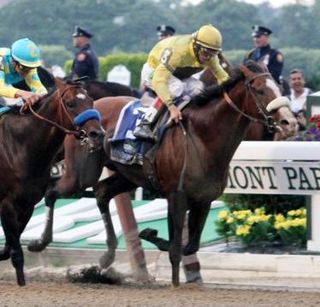 <span class="mw-page-title-main">Union Rags</span> American-bred Thoroughbred racehorse