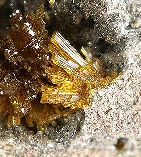 Das Mineral Uranophan (auch Ur