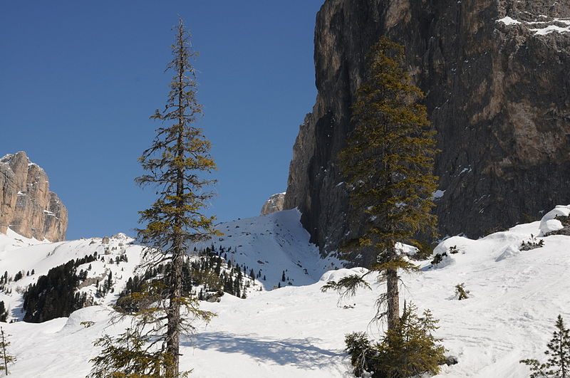 File:Val Lasties exit.JPG