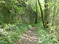 Français : Les Vachon (sentier nord), Voulgézac, Charente, France