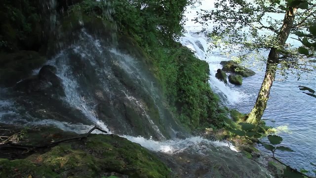 Down by the river