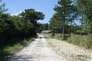 Whitecross Green and Oriel Woods