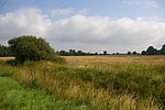 Meadow areaNeustädterMoor.jpg