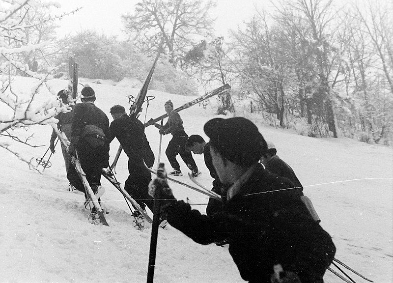 File:Winter, skiing Fortepan 7449.jpg