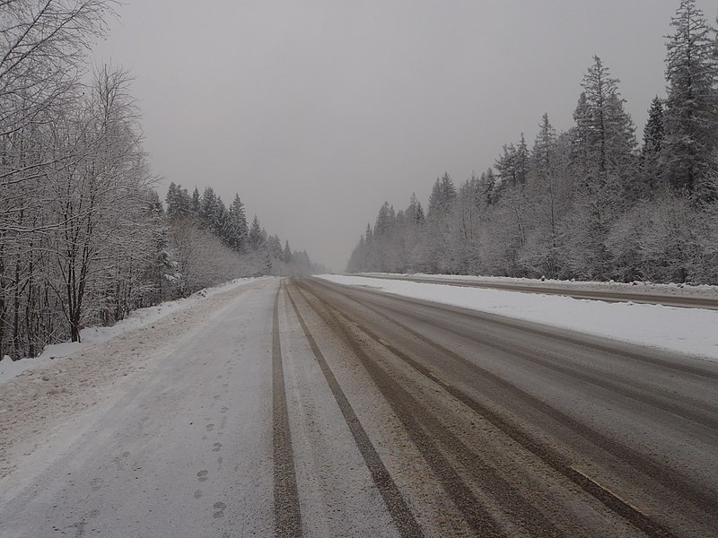 File:Winter road - panoramio (2).jpg