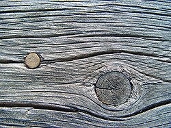 Anyag Fa: Az élő fa, A fatest szerkezete, A fa tulajdonságai