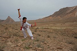 Wushu in Iran Qom City Mustafa Meraji 10.jpg