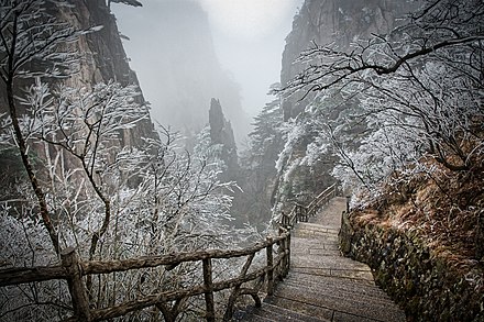 Icy Trees of Huangshan