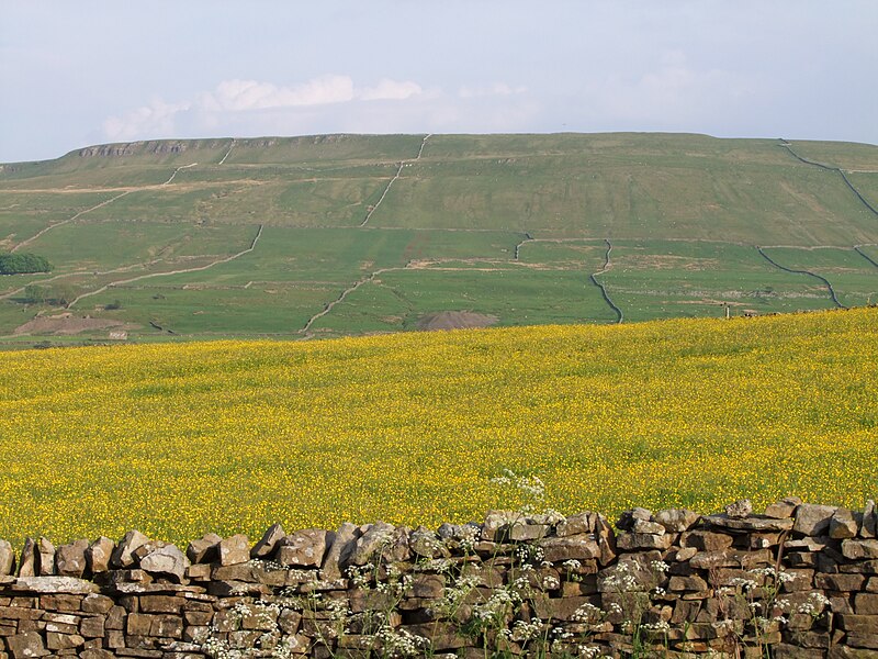 File:Yorkshire Country Views (11).JPG