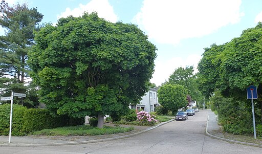 Zehlendorf Sputendorfer Straße