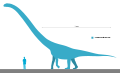 "Omeisaurus" tianfuensis Scale.svg