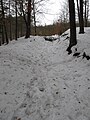 Česky: Úvozová cesta pod Gryblou, Hornopožárský les./English: Countersunk path in Hornopožárský Forest, Czech Republic. (Juan de Vojníkov)