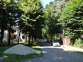 Вид от развилки с улицей Гданьскас