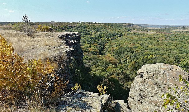 Вид животного в донецкий кряж. Региональный ландшафтный парк Донецкий Кряж. Фауна Донецкий Кряж – региональный ландшафтный парк. Горы донецкого кряжа. Донецкий Кряж Донецкой области.