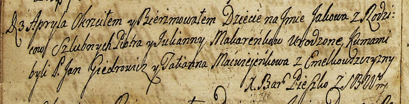 File:Хрост сына жыхароў Амелькаўшчыны. 1764 г.png