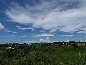小島 - panoramio.jpg