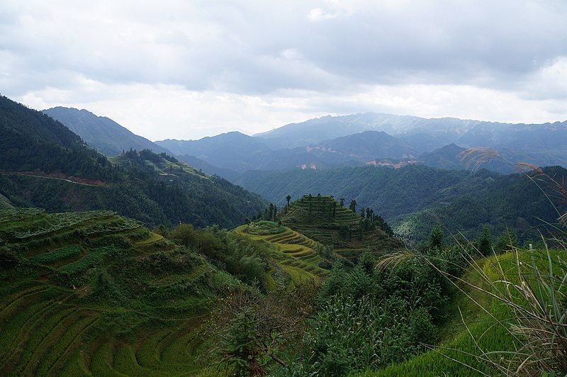 File:龙脊江柳旧屋20150928 - panoramio (71).jpg