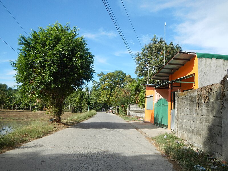 File:01012jfRoads Rice Fields San Jose San Luis Pampangafvf 17.JPG