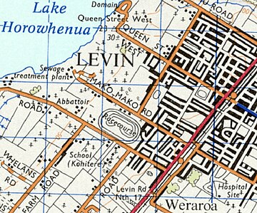 File:1973_map_of_Levin.jpg