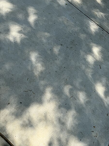 File:2024 Eclipse Shadows.jpg
