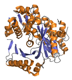 <span class="mw-page-title-main">ACACA</span> Protein-coding gene in the species Homo sapiens