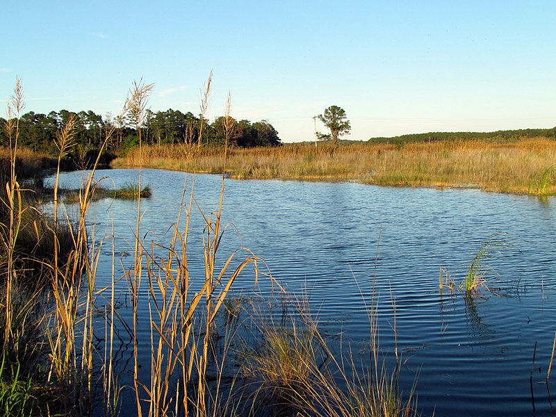 File:40 Bennetts Point RD Green Pond SC 6868 (12397756715).jpg