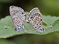 in Hyderabad, India